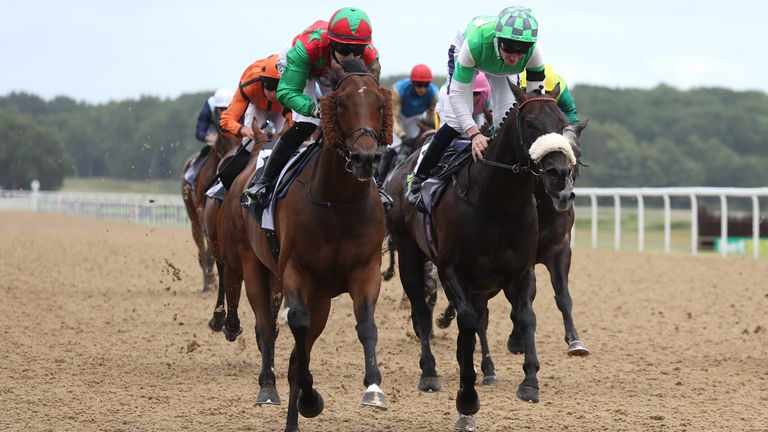 Diligent Harry (left) won the Chipchase Stakes last term
