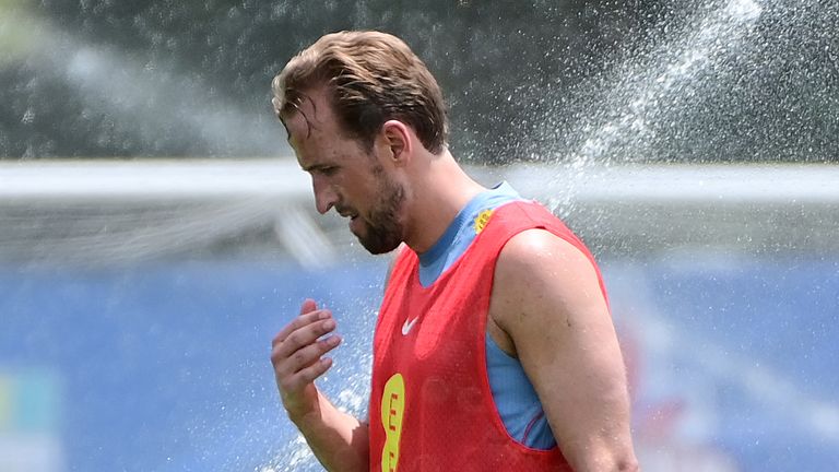 Harry Kane could be rested by England during the World Cup