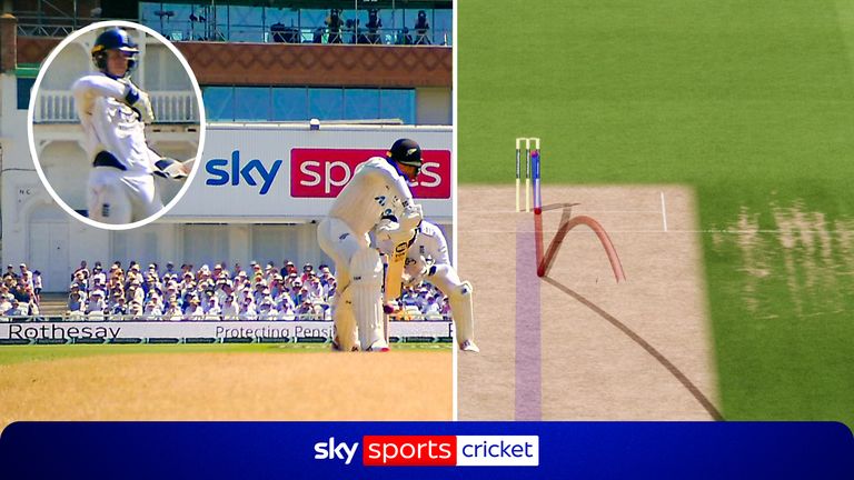 Cricket 