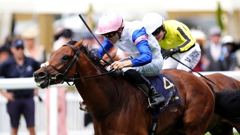 Limestone just grabbed Queen's Vase glory at Royal Ascot