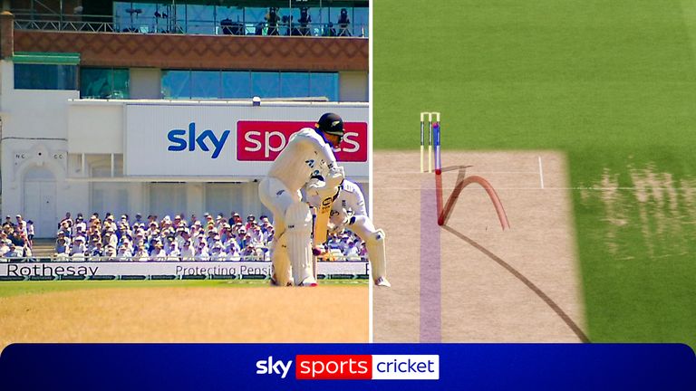 Cricket 