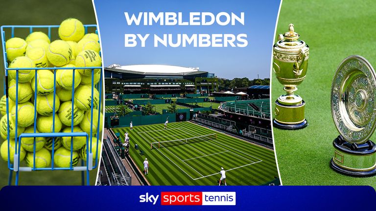 A look at some of the most impressive AND obscure numbers around the world’s biggest grass-court Championship, Wimbledon