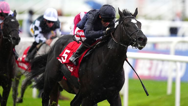 Puerto Rico is set to take his chance in the St James's Palace Stakes