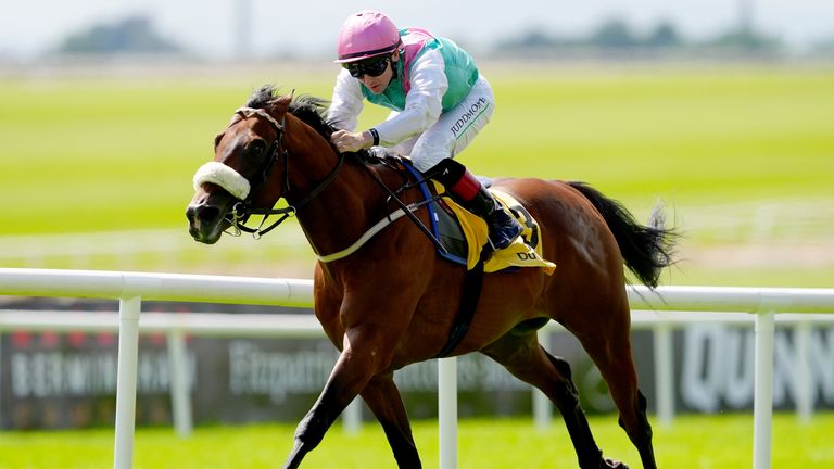 Purview conquistou honras do Grupo 3 em Curragh