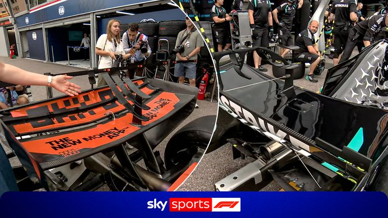 rear wing
