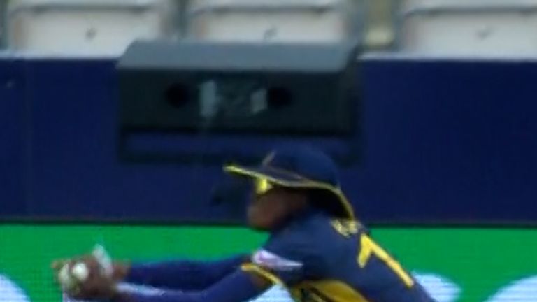 cricket