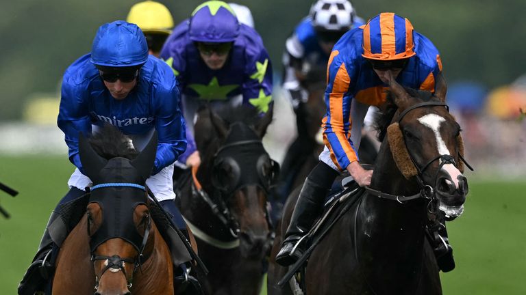 Scandinavia and Trawlerman served up a Gold Cup classic