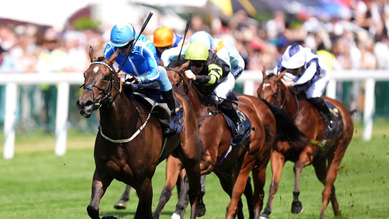 Venetian Sun wins the Commonwealth Cup