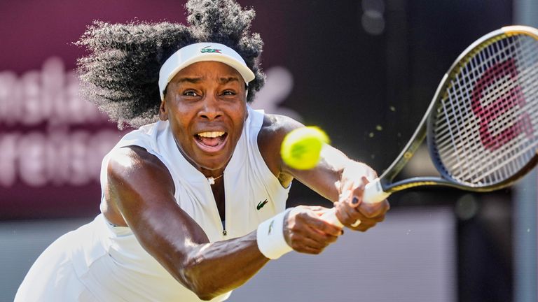 Venus Williams xxx