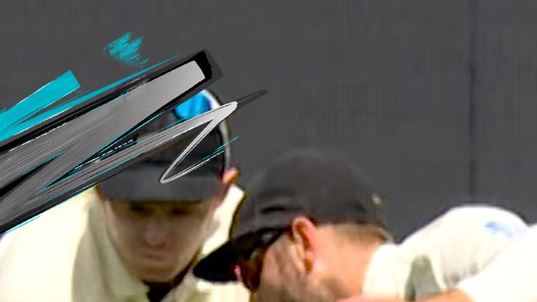 Outrageous! Williamson takes stunning catch! 