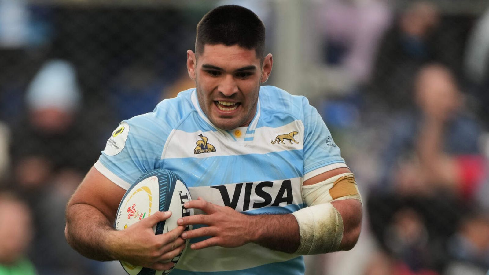Nations Championship - Argentina 35-21 Wales: Los Pumas bounce back as Wales fail to build on strong start