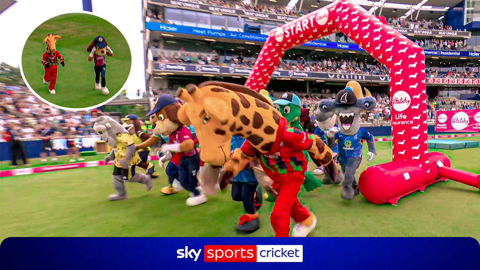 Giraffe or dog, who've you got? Let the Mascot Race shenanigans begin!