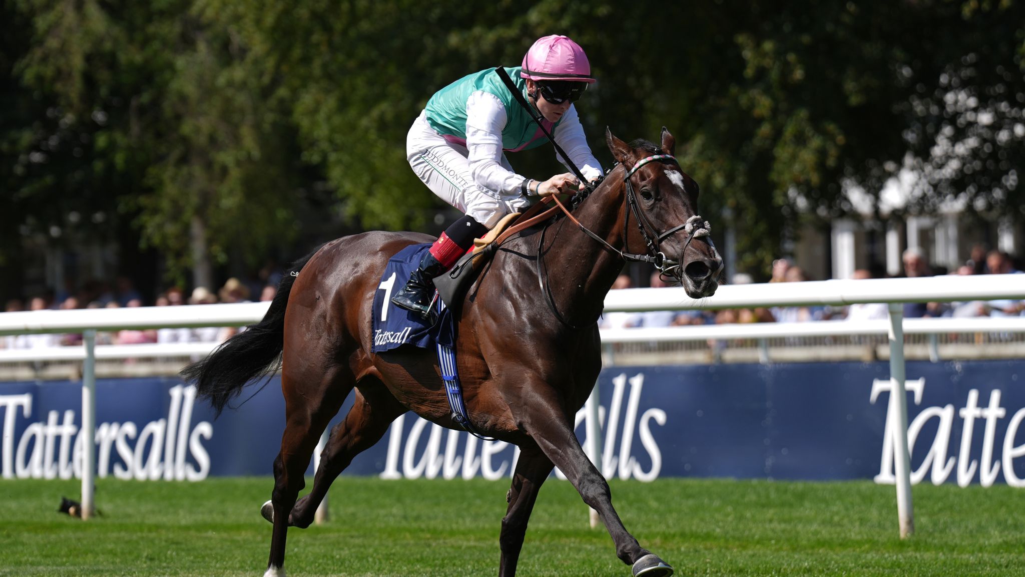 skysports.com - Today on Sky Sports Racing: Chester, Yarmouth and Deauville feature live on Sunday