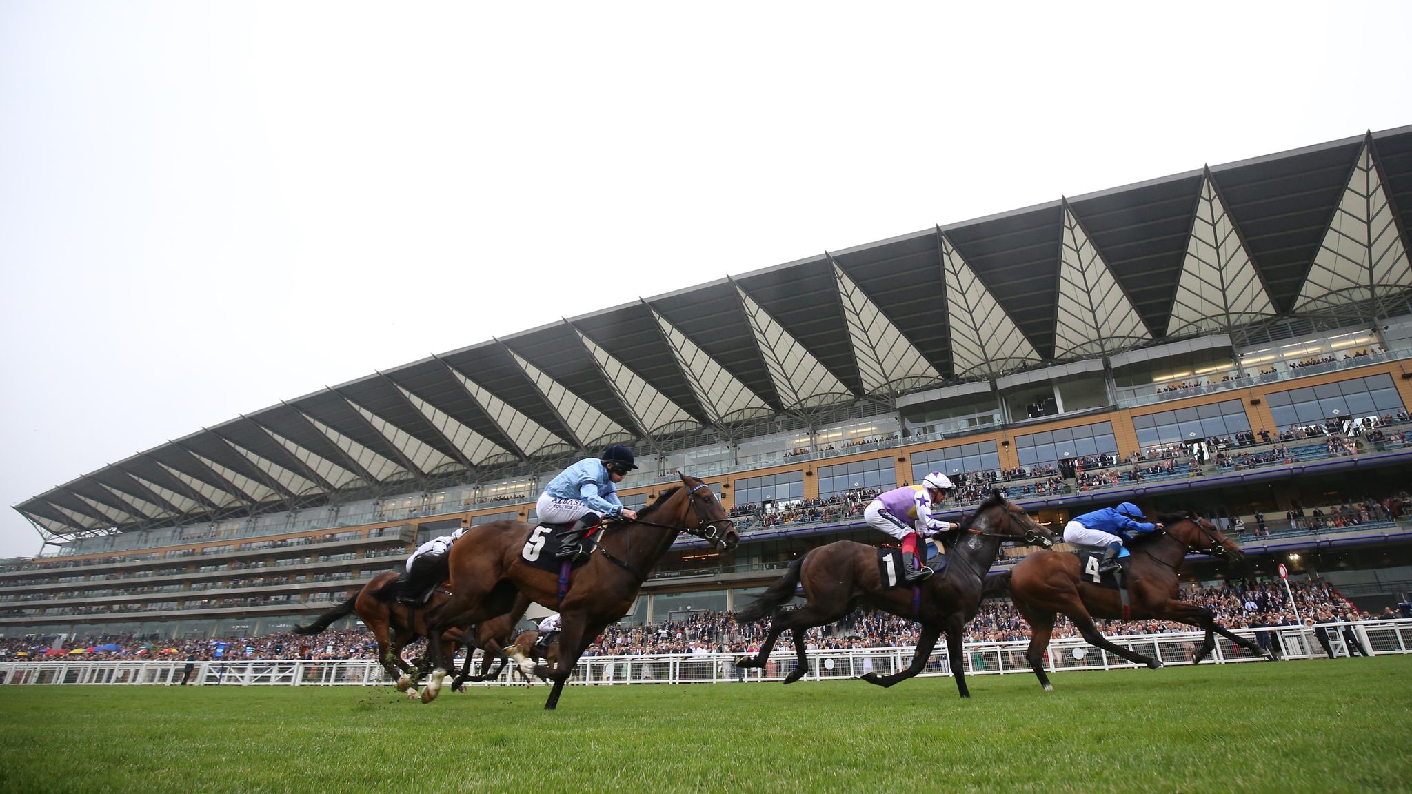 skysports.com - Today on Sky Sports Racing: Ascot, Hexham, Newcastle and Wolverhampton