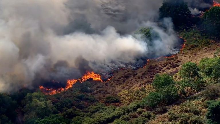 Wildfire in Dunwich Heath