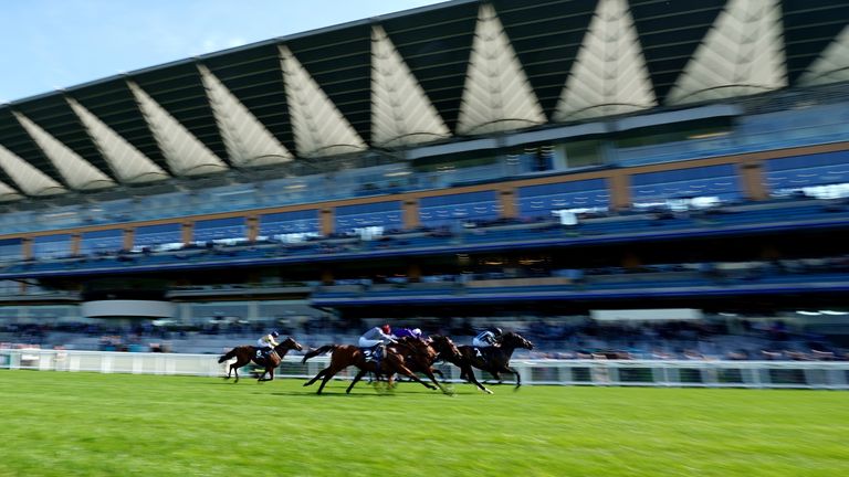 Ascot hosts live racing this afternoon