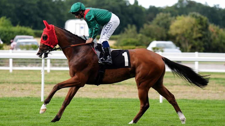 Calandagan goes for glory in the King George again