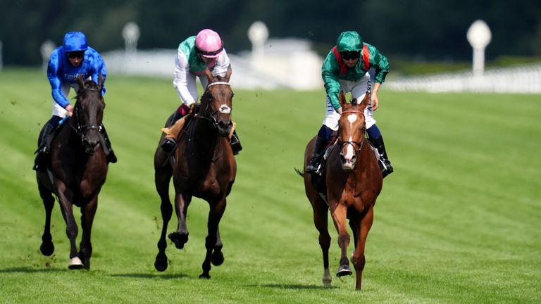 Calandagan (right) goes in search of another King George on Saturday