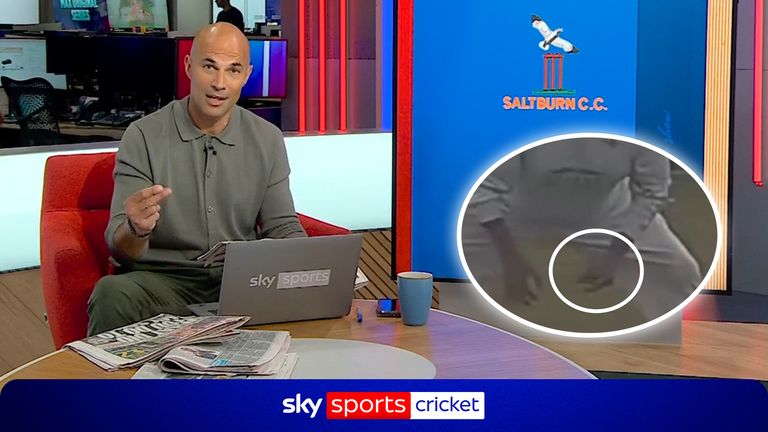 Cricket