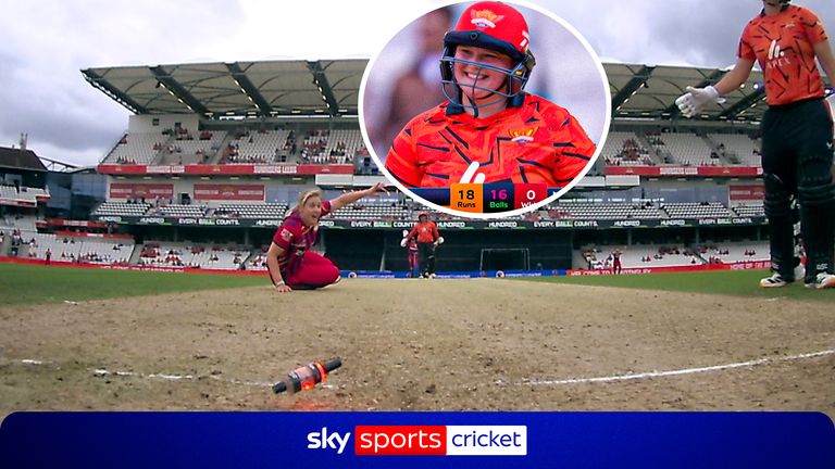 cricket vertical