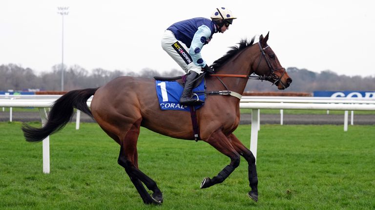 2022 Arkle hero Edwardstone has been retired