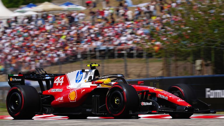Lewis Hamilton at the Hungarian GP (PA)