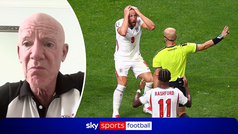 Ex-Premier League referee Dermot Gallagher was left perplexed as to why England's Harry Kane wasn't awarded a penalty against DR Congo.