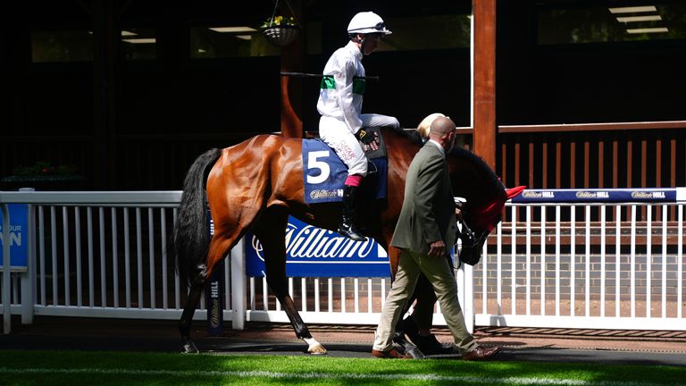 Friendly Soul represents the Gosden team at Goodwood