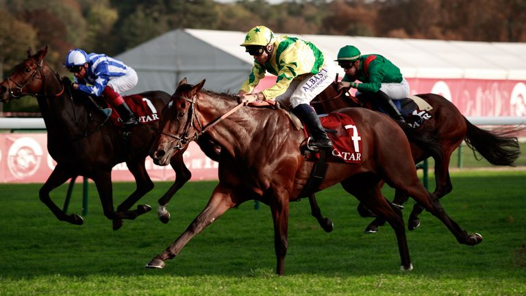 Horizon Door returns to action this afternoon. (Photo: Juzanna Lupa)