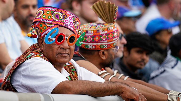 India fans during a T20 international (Associated Press)