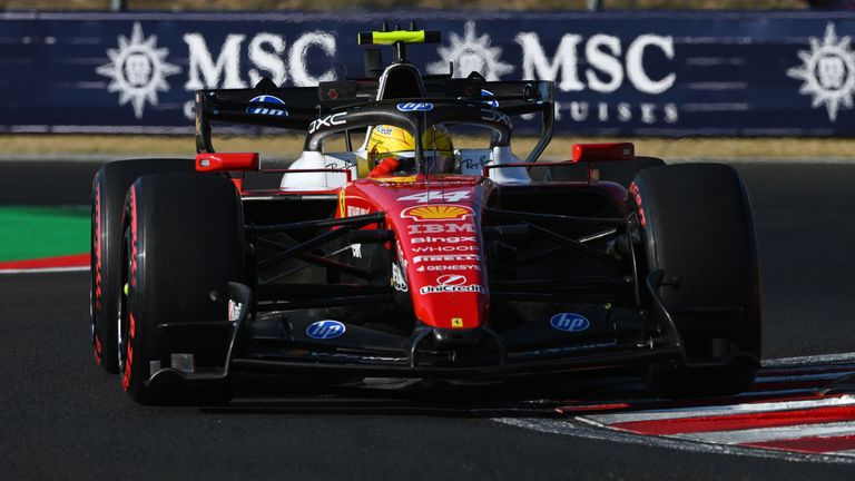 Lewis Hamilton Hungarian GP Practice Friday