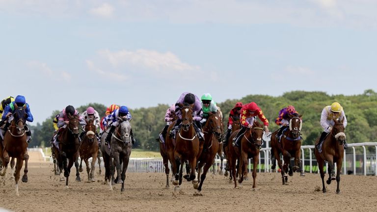 Newcastle hosts action on the all-weather on Friday