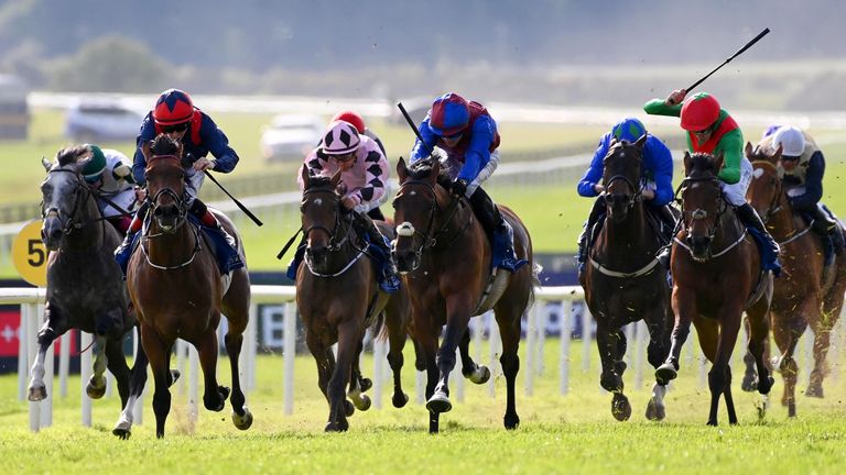 Count Bezukhov (centre) heads to Doncaster today. (Healy Racing)