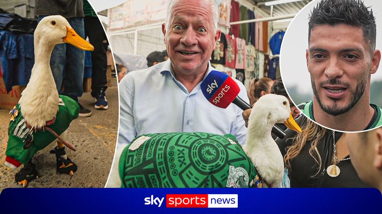 England vs Mexico pkg