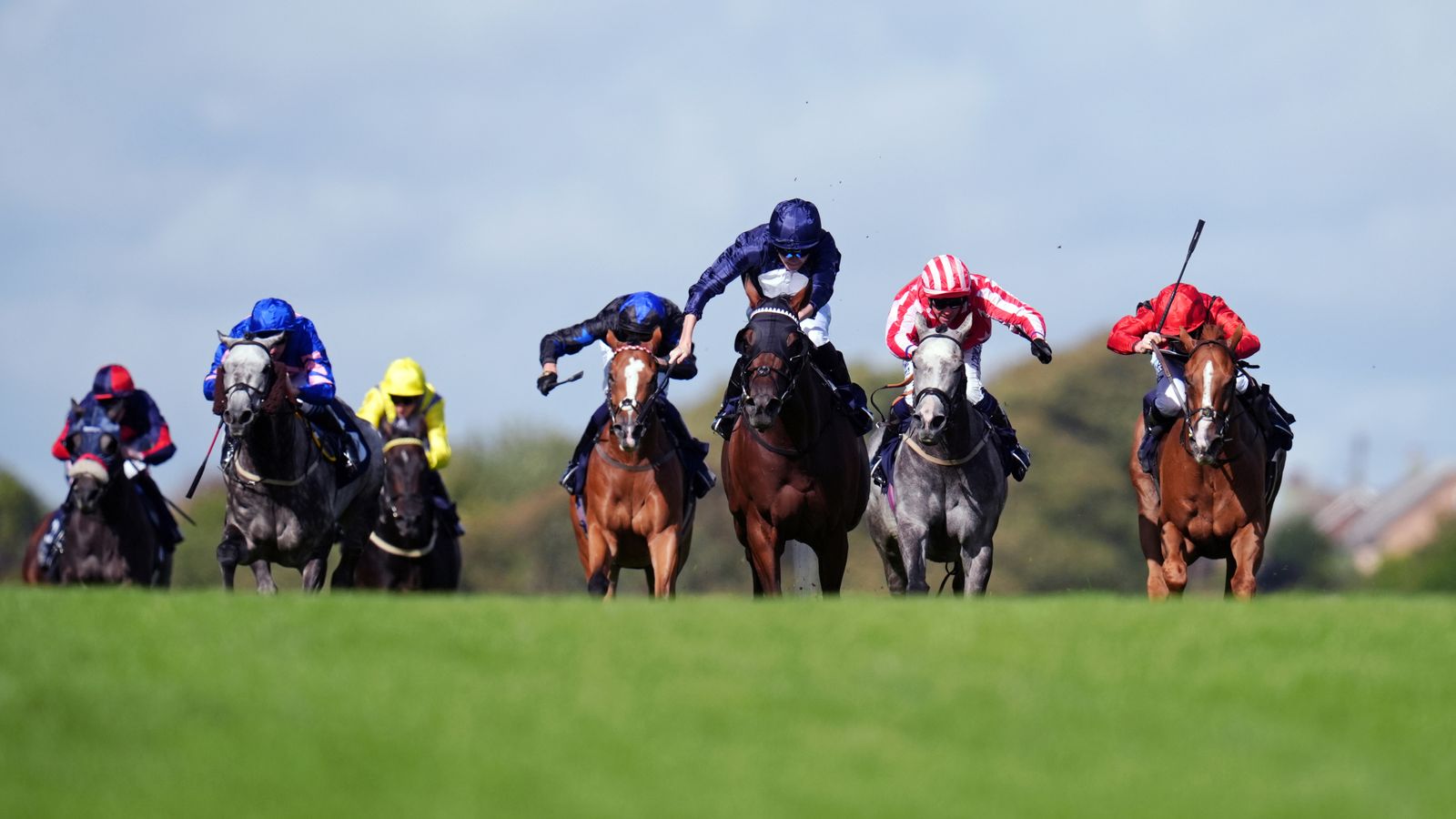 Silca Bay and Sea Suite face off as Brighton Festival begins