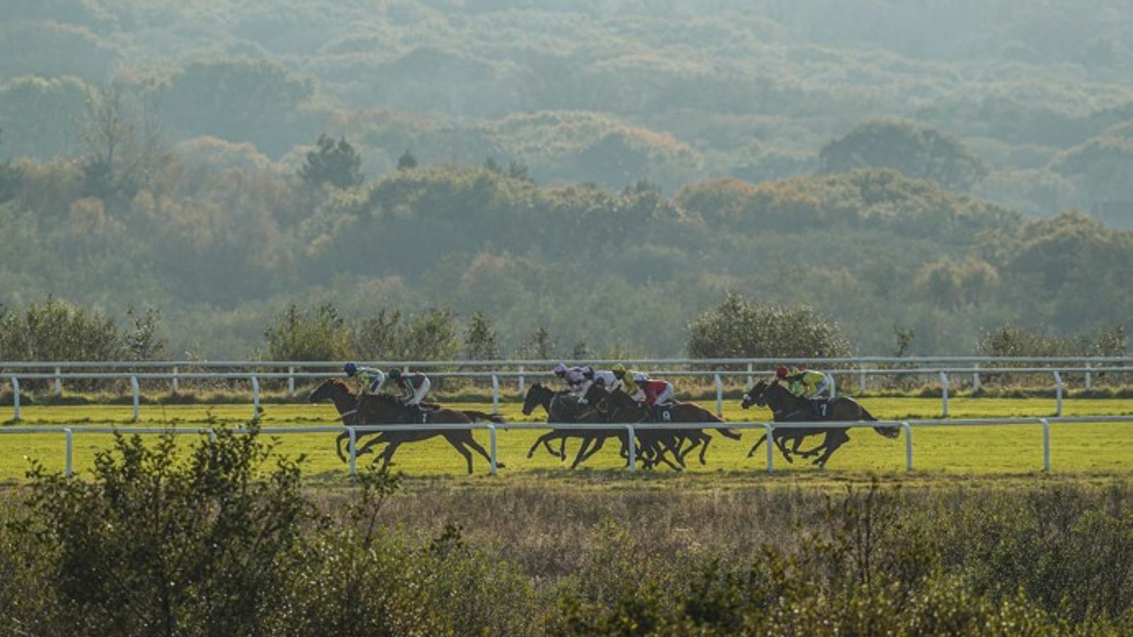 Perfect Nation and Avionics face off in Ffos Las feature