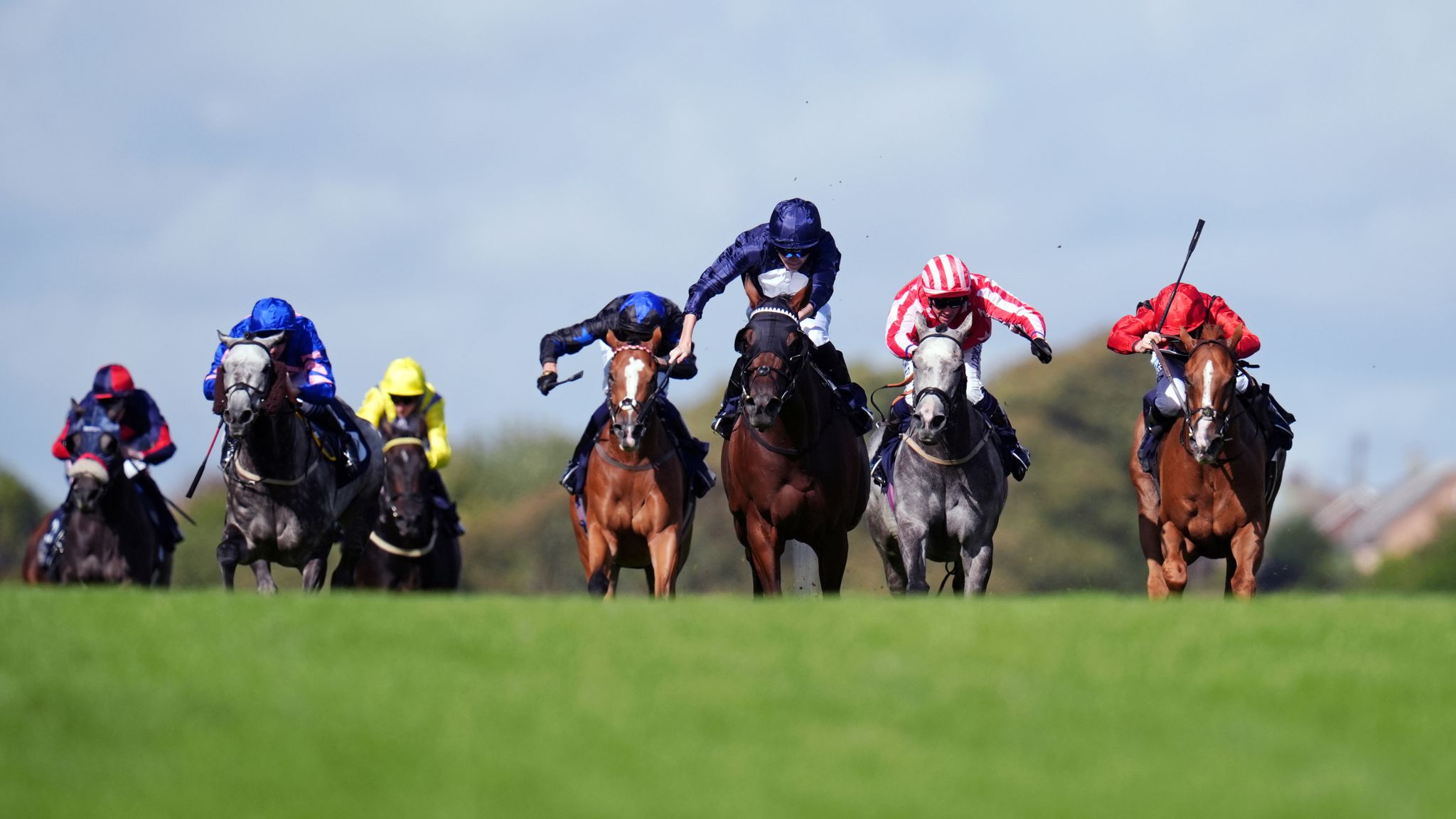 skysports.com - Today on Sky Sports Racing: Silca Bay and Sea Suite face off as Brighton Festival begins