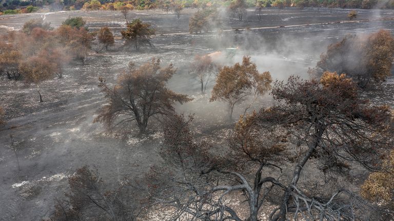 The aftermath of the Dunwich Heath fire. Pic: Justin Minns/National Trust/PA Wire 