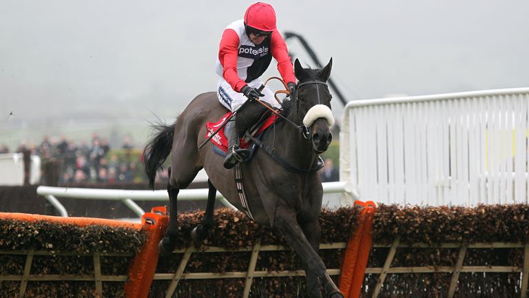 Big Buck's has passed away, aged 23