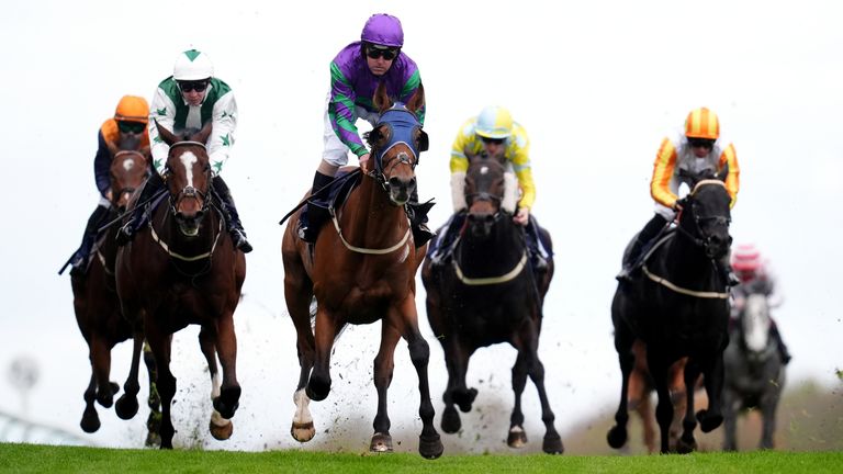 Brighton hosts live racing this afternoon