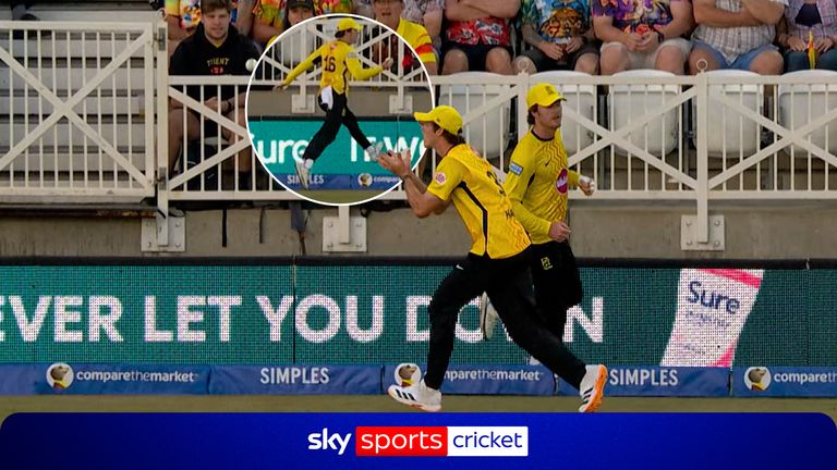 cricket
