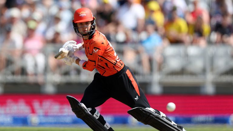 Phoebe Litchfield managed 24 off 22 before being dismissed by Charley Phillips