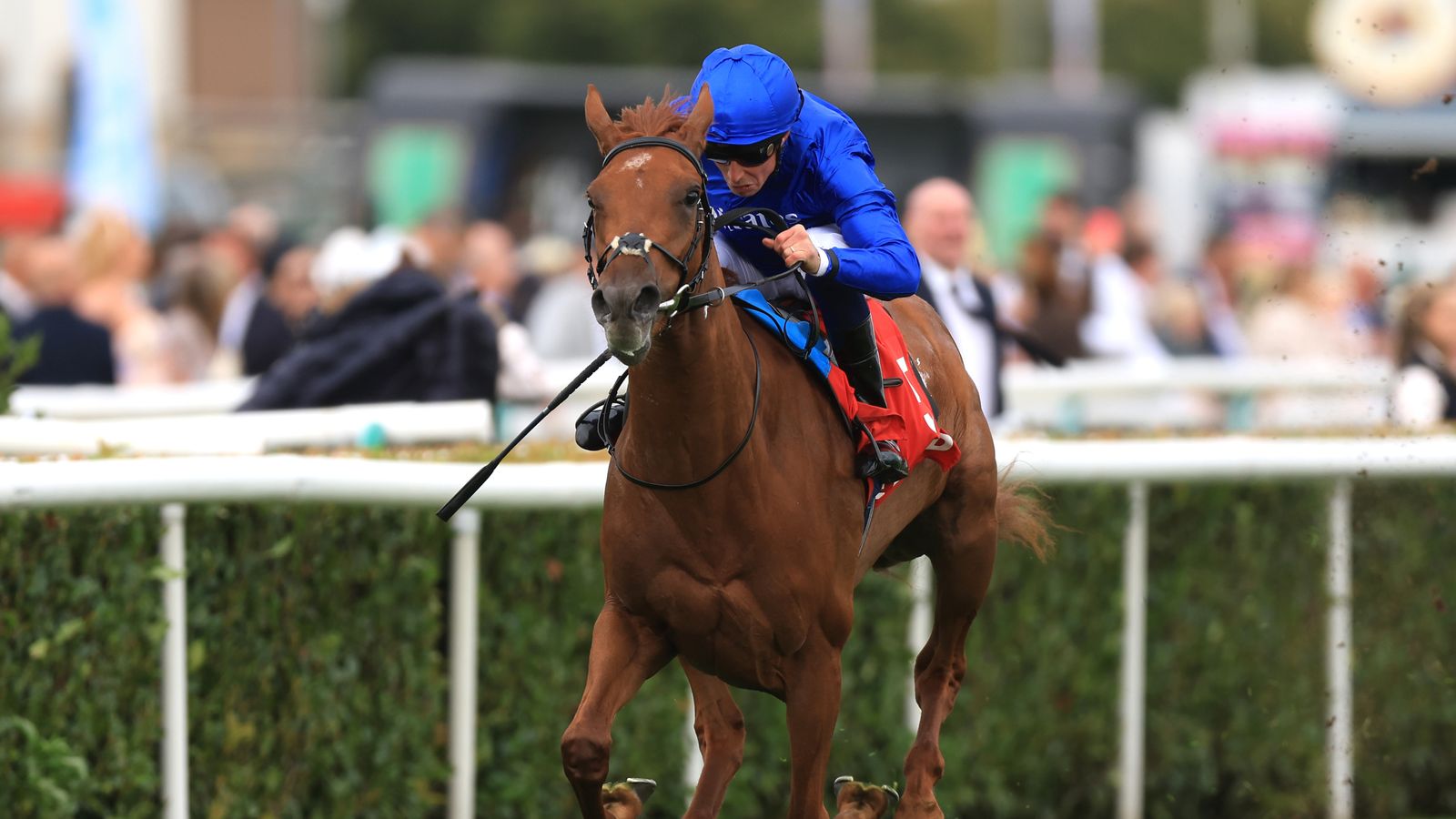 Musical Times 6/1 for 1000 Guineas after May Hill romp at Doncaster Musical Times 6/1 for 1000 Guineas after May Hill romp at Doncaster