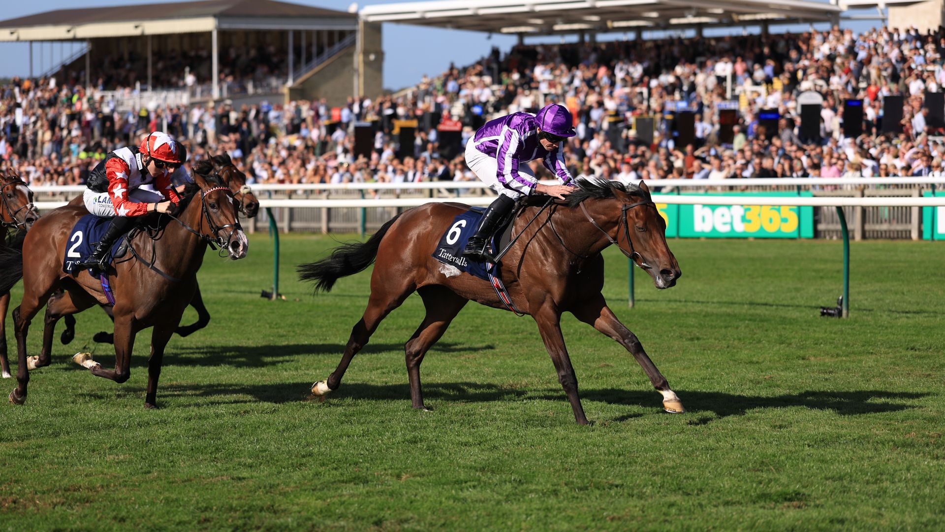 Sun Goddess passes 'massive test' to rule supreme in Cheveley Park