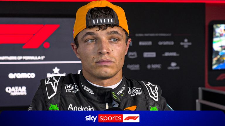 lando norris pen interview