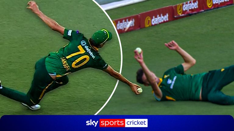 cricket catch 
