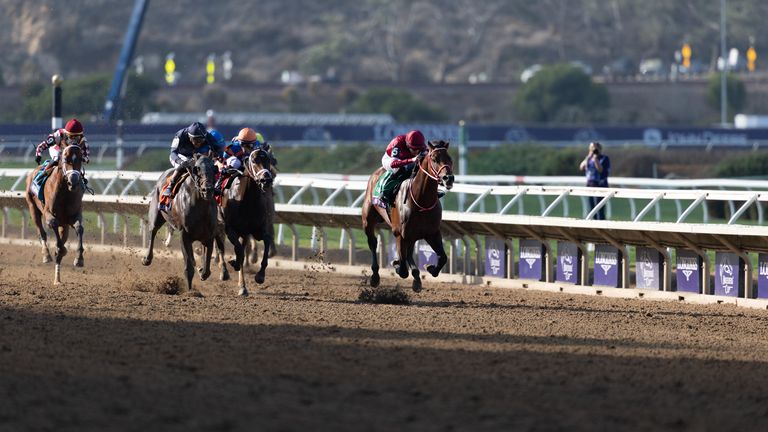 Forever Young won last year's Breeders' Cup (Photo by Karl Anderson/Icon Sportswire) (Icon Sportswire via AP Images)
