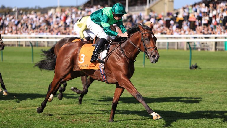 Ryan Moore on Haffner winning the Tattersalls Online Royal Lodge Stakes