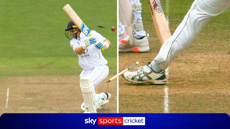 Cricket 