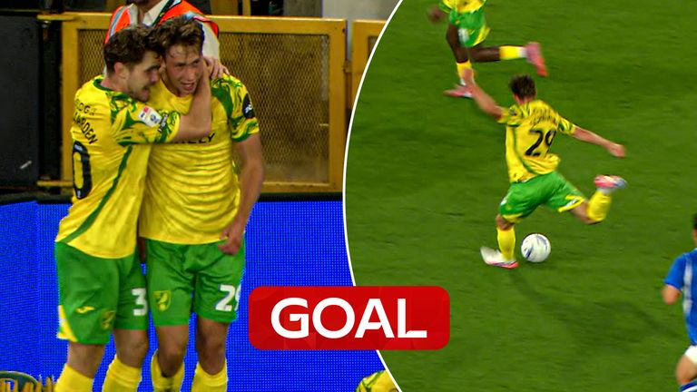 norwich goal